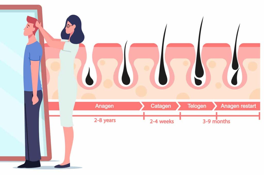 cuánto tiempo de crecimiento del cabello en un mes